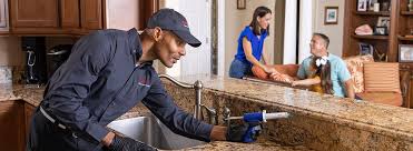 Professional Pest control in Nederland, TX